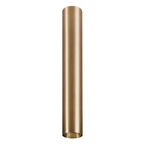 Check CAMELEON EYE BRASS L lampshade