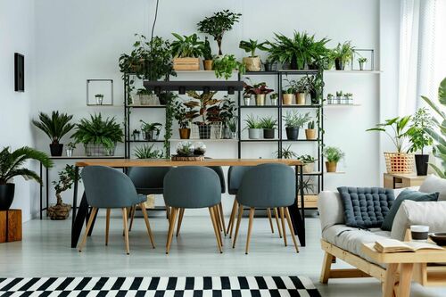 Check Ceiling lamp PLANT BLACK