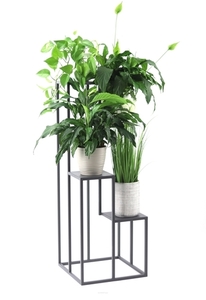 Plant Stand JAKPOL Metallo 112 cm Metal Anthracite Grey 4-Tier Indoor Loft small 0