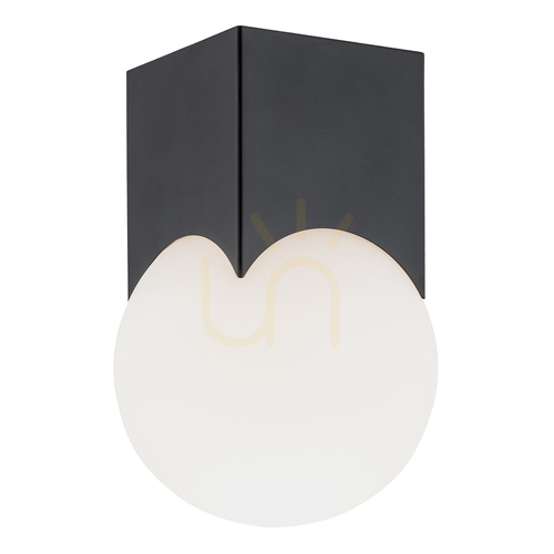 Check Plafon Argon Austin opal mat czarny 1xE14 4713