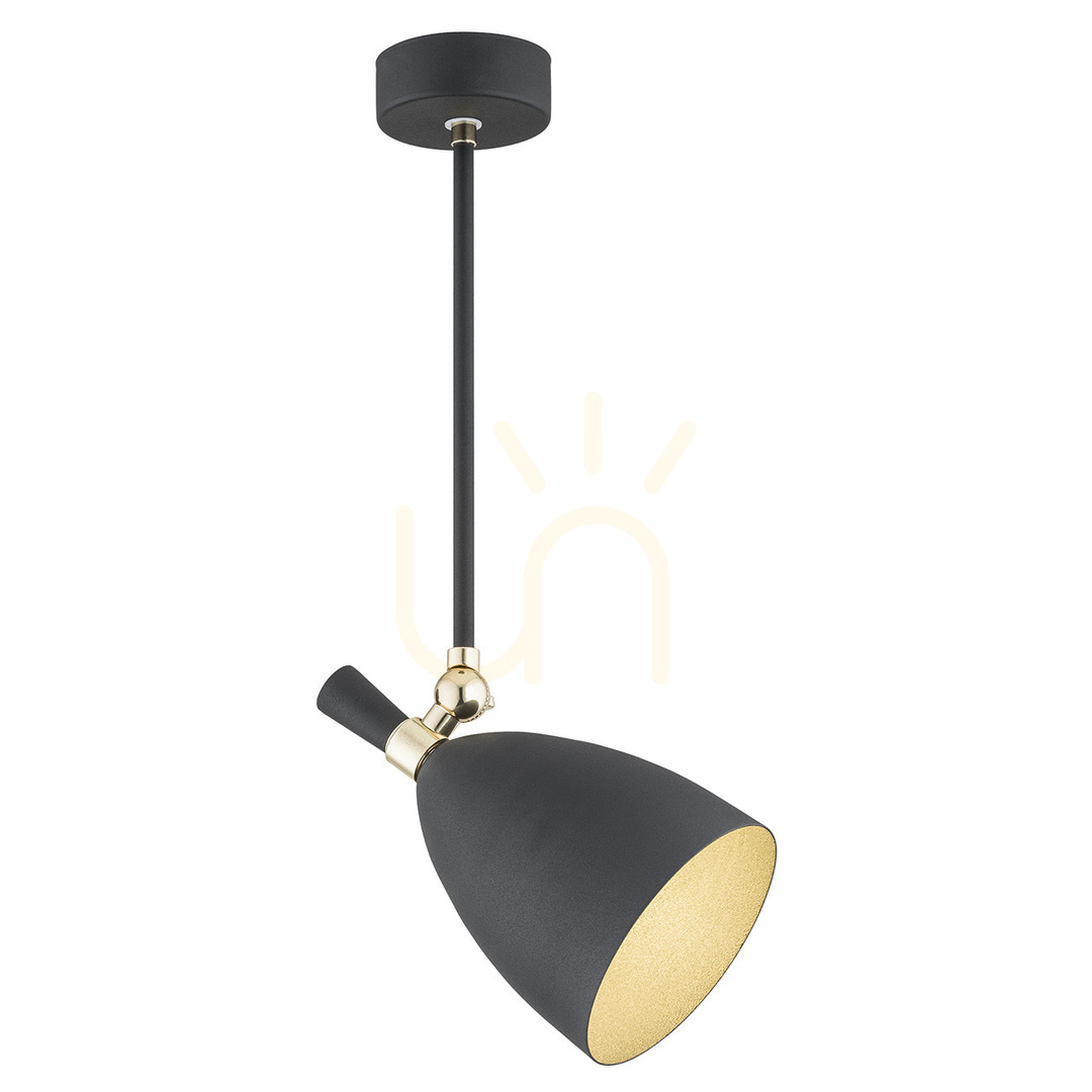 Pendelleuchte ARGON CHARLOTTE schwarz messing E27 4686