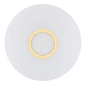 Plafon Argon Chicago 2xE27 opal matowy mosiądz 40 cm 1030 small 2