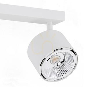 Plafon Argon Clevland 2xGU10 White Adjustable Steel 1031 BZ small 2