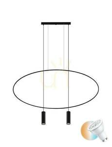 Pendant lamp HOLAR 2 black Thoro small 0