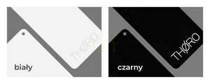 Ceiling lamp RIO 110 black 4000K Thoro small 21