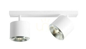Ceiling light Aldex Bot 2 White 2xGU10-AR111 1046PL_H small 0