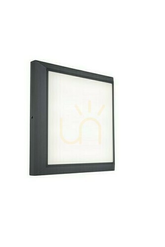 Check Outdoor Wall Lamp Lutec HELENA LED 20W Anthracite 22 cm 5102101118
