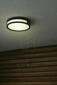 External Ceiling Light Lutec ROLA Black LED 13W 18.3 cm 6382201012 small 2