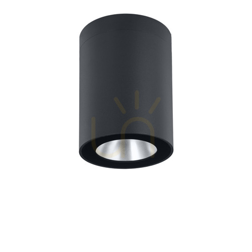 Check Norlys Nidaros 2121GR graphite outdoor ceiling light LED 8.3 W 3000 K 18 cm