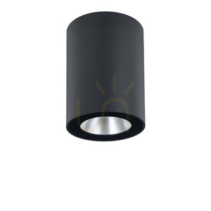 Norlys Nidaros 2121GR graphite outdoor ceiling light LED 8.3 W 3000 K 18 cm small 3