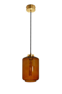 Famlight Leyte stylish stainless steel pendant lamp small 2