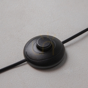 RAY floor lamp Z012FL-L18B3K Maytoni small 4