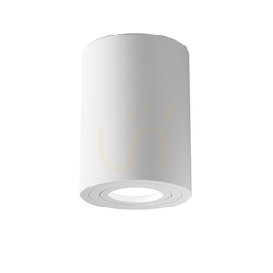 Plafond ATOM C016CL-01W Maytoni small 1