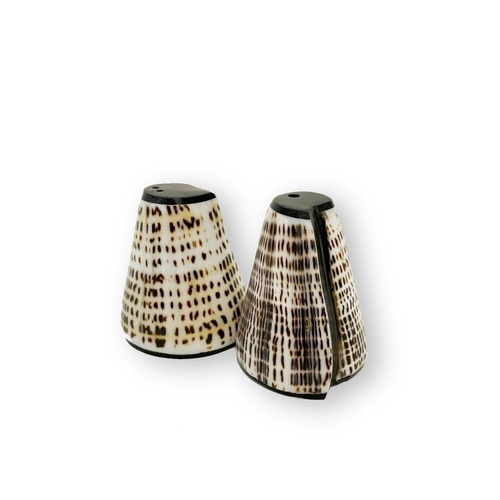 Check The Salt and Peppa Shell Set - Set of 2