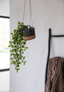 The Banana Plant Hanger - Natural Black - S 1 The Banana Plant Hanger - Natural Black - S small 1
