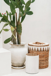 The Tribe Stool - Natural White small 1