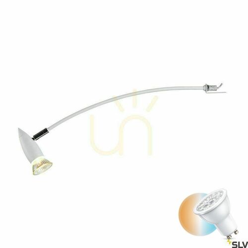 Check Display picture light SLV DISPLAY white GU10 50W 1002860