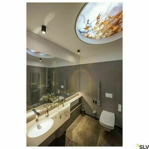 Ceiling Light SLV NUMINOS CL PHASE S Black 3000K 10.42W 1004131 3 Ceiling Light SLV NUMINOS CL PHASE S Black 3000K 10.42W 1004131 small 3