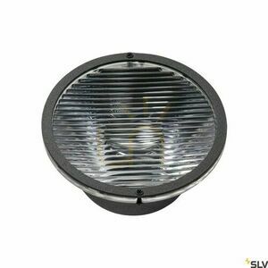 Replacement Lens 20° SLV ENOLA M Black 1005205 small 0