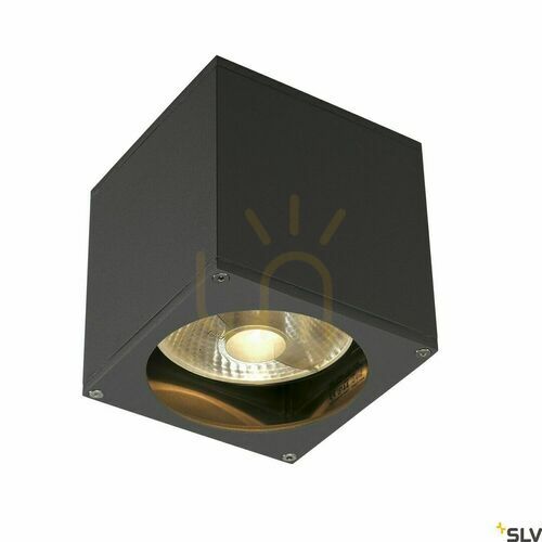Check SLV BIG THEO WALL Outdoor Wall Light Anthracite GU10 IP44 229565