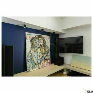 Ceiling Light SLV ALTRA DICE black 35W 1002216 3 Ceiling Light SLV ALTRA DICE black 35W 1002216 small 3