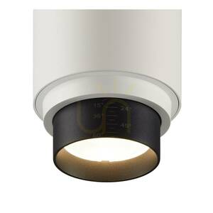SLV NUMINOS Zoom M DALI Three-Phase Track Spotlight 20W 3000K White 1006117 small 8