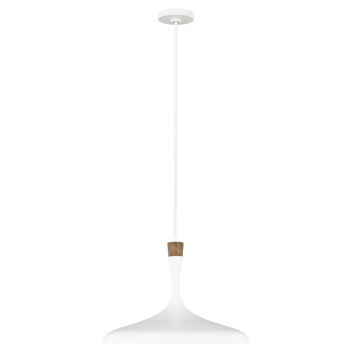 Check Darwin 1 Light Pendant - Matte White Elstead