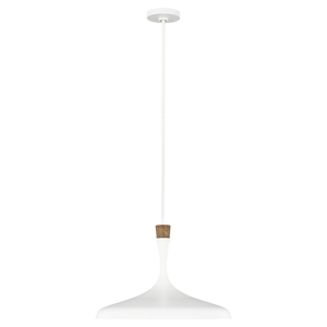 Darwin 1 Light Pendant - Matte White Elstead small 0
