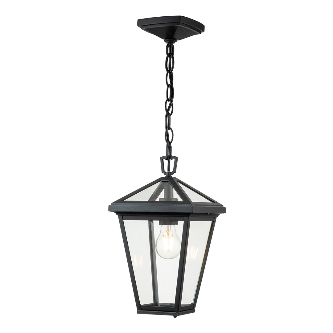 Alford Place small pendant lantern - 1 light source - Black Quintiesse