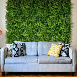 Green wall Fern 40x60cm small 2