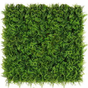 Green wall Fern 40x60cm small 4
