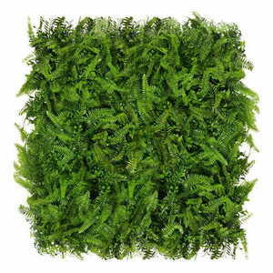 Green wall Fern 40x60cm small 0