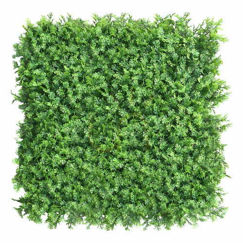 Check Green wall Tuja 40x60cm