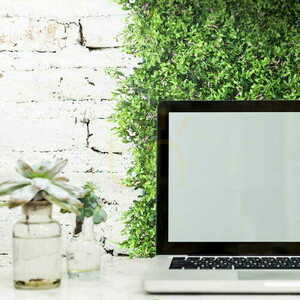 Fumaria green wall 40x60cm small 3