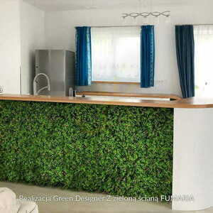 Fumaria green wall 40x60cm small 4