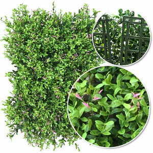 Fumaria green wall 40x60cm small 5
