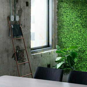 Green wall Pollen 40x60cm small 3