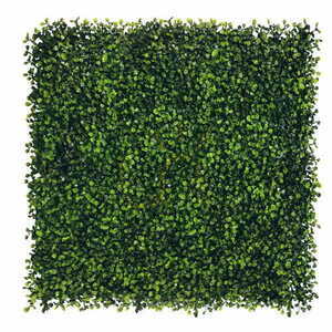 Green wall Boxwood 40x60cm small 0