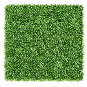 Honkenia green wall 40x60cm small 1
