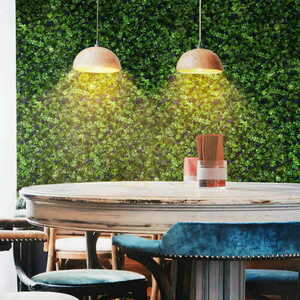 Green wall Glycine 40x60cm small 2