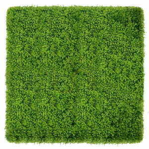 Buxus green wall 40x60cm small 1