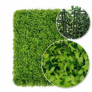 Buxus green wall 40x60cm small 4