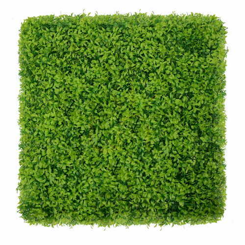 Check Buxus green wall 40x60cm