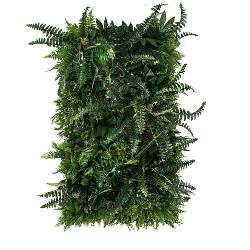Check Rainforest vertical garden