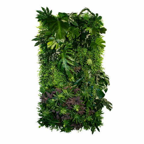 Check Paradise Lining vertical garden