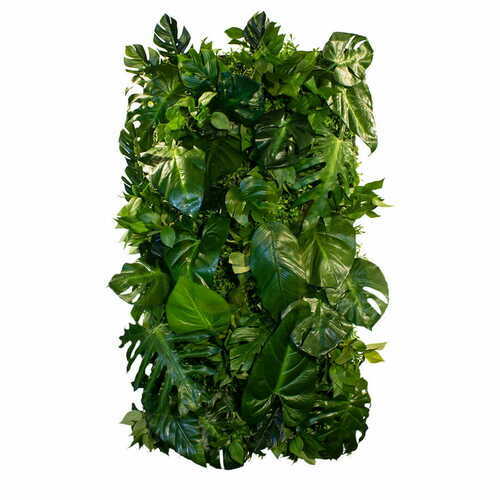 Check Coconut Island vertical garden
