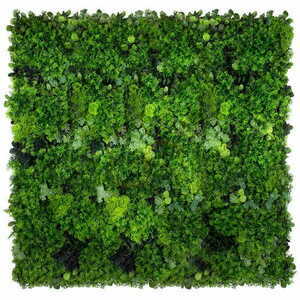 Moss Mesh Vertical Garden 1 Moss Mesh Vertical Garden small 1