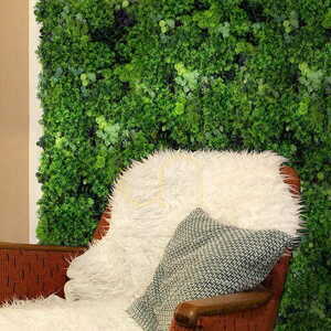 Moss Mesh Vertical Garden 2 Moss Mesh Vertical Garden small 2