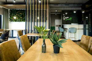 Exotic Vibe vertical garden small 2