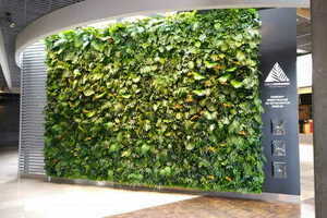 Exotic Vibe vertical garden small 4